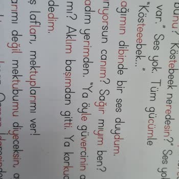 Bilgiseli Yayınları Çocuk Kitabında Uygunsuz İçerik!