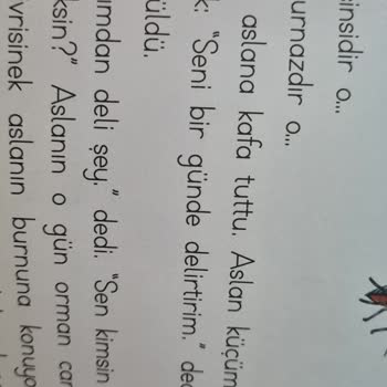 Bilgiseli Yayınları Çocuk Kitabında Uygunsuz İçerik!