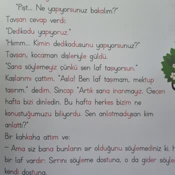 Bilgiseli Yayınları Çocuk Kitabında Uygunsuz İçerik!