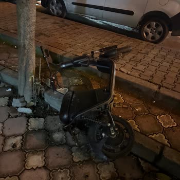 Martılar Toplanmasını İstiyorum