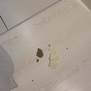 Kristal Temizlik Temizlik Yapmadı Evimden Polis Zoruyla Çıkarttım