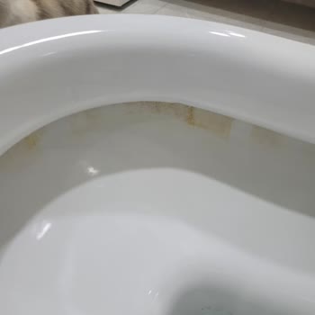 Kristal Temizlik Temizlik Yapmadı Evimden Polis Zoruyla Çıkarttım