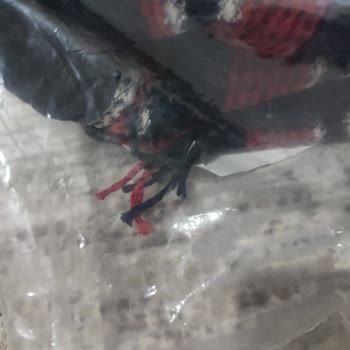 Şok Marketler Yanlış Ve Açılmış Ürün