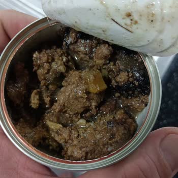 Amazon'dan Aldığım Kedi Mamaları Bozuk Çıktı