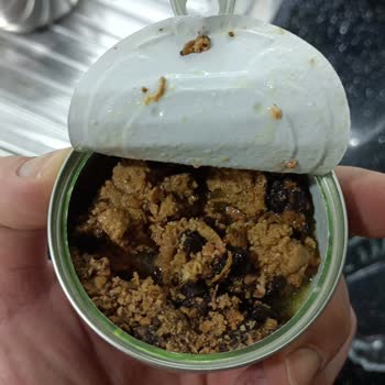 Amazon'dan Aldığım Kedi Mamaları Bozuk Çıktı