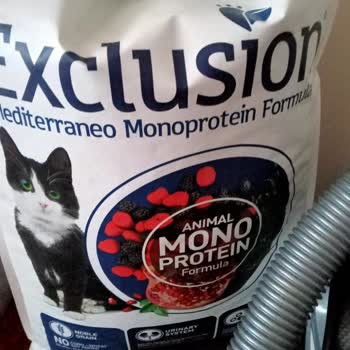 Petlebi Kedi Maması Hasta Etti Kedilerimi