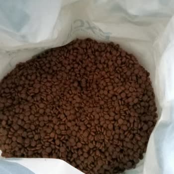 Petlebi Kedi Maması Hasta Etti Kedilerimi