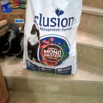 Petlebi Kedi Maması Hasta Etti Kedilerimi