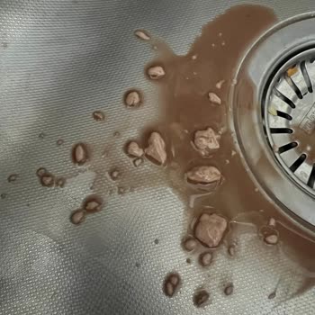 İçim Fit Yüksek Protein