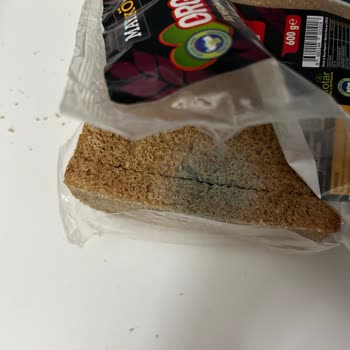 Mayaköy Organik Küflü Ekmek Hayal Kırıklığı Yarattı