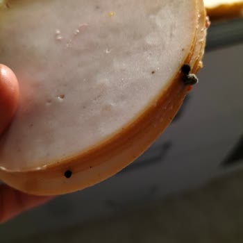 Namet İnsan Sağlığı İle Oynuyor