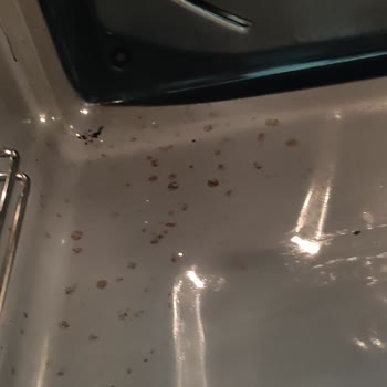 Arçelik Kirli Fırın Görünümü