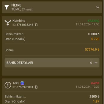 Wipbet 57.200 TLme El Koydu Hesabımı Sıfırladı