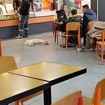 Novada Outlet (Söke) Alışveriş Merkezinde Hijyen Sorunları