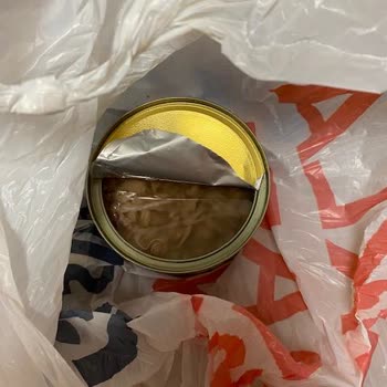 Bozuk Dardanel Ton Balığı