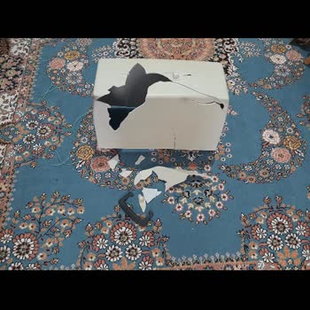 Sürat Kargo Gönderim Yaptığım Ürünü Kırmışlar