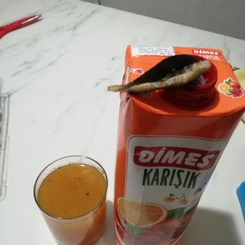 Dimes Meyve Suyu Kutusundan Çıkan Siyah Şey