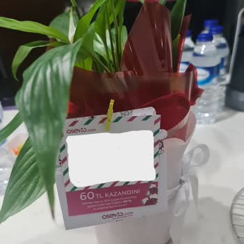 Osevio.com Hediye Kartına İndirim Kuponu Koyulmuş