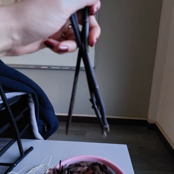 Çiçek Sepeti Köksüz Gönderilen Orkide