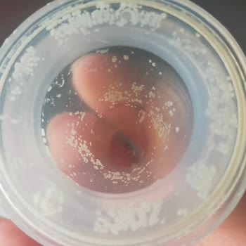 Lansinoh Biberon Ucu Beyaz Noktalar