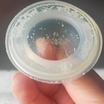 Lansinoh Biberon Ucu Beyaz Noktalar