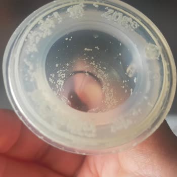 Lansinoh Biberon Ucu Beyaz Noktalar