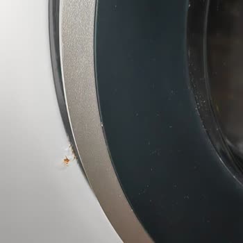 1 Bosch WGA252X0TR Çamaşır Makinesi 10 Kg 1200 Devir Boya Ve Vida Pas