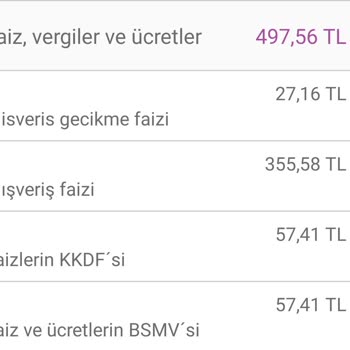 Enpara 1 Günlük Gecikme 500 TL Faiz