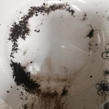 Çaykur Paket Çay Kalitesi Ve Fiyatı Hakkında Görüşler