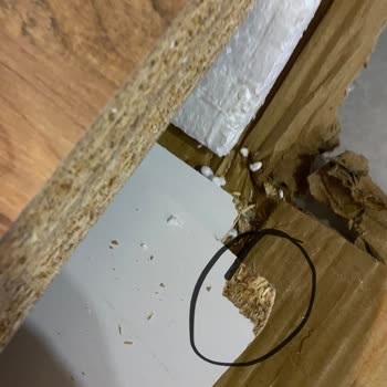 A101 İadeyi Evden Aldırmıyor