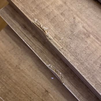 A101 İadeyi Evden Aldırmıyor