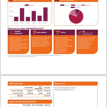 Cerean Enerji Fazla Fatura Bedelleri