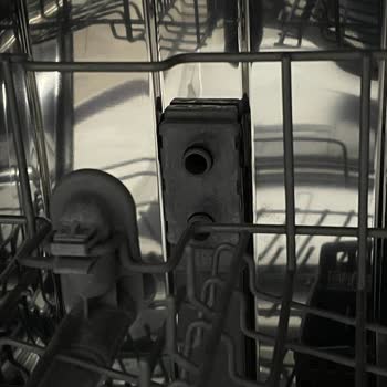 Samsung Bulaşık Makinesi Sorunları