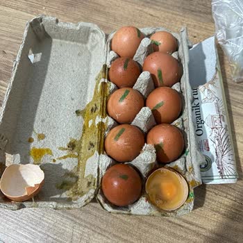 Migros Sanal Marketten Gelen Bozuk Ürün Ve İade Sorunları