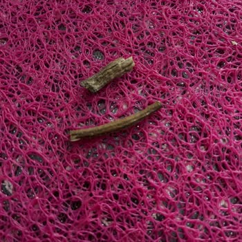 Amigo Çekirdek Çöpü Şikayeti