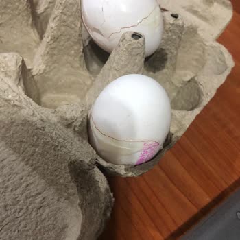 Migros Sanal Kırık Yumurta