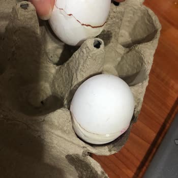 Migros Sanal Kırık Yumurta