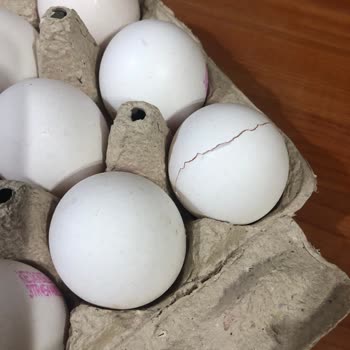 Migros Sanal Kırık Yumurta