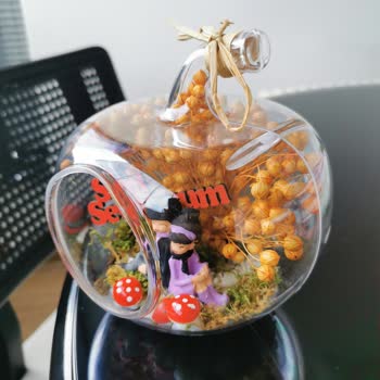 Osevio.com Sitesinde Aldığım Teraryum Aldatmacası