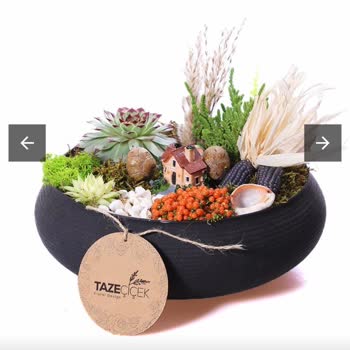 Taze Çiçek (tazecicek.com) Talep Edilmeyen Ürün Ve İlgisiz Müşteri Hizmetleri!