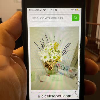Çiçek Sepeti Asla Sipariş Vermem