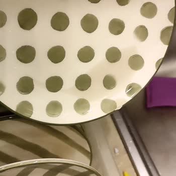 Vivense Verde Pasta Tabağı İçine Su Alıyor