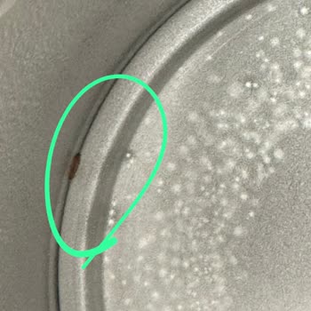 Homend Çaycılar Paslanıyor, Servis Zorluk Çıkarıyor