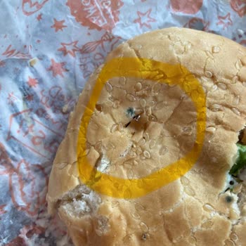 Popeyes Küflü Hamburger Üstüne Bir De Normal Karşılandı