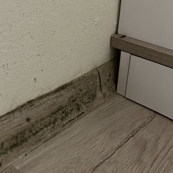 Arçelik Hatasını Düzeltmiyor, Arçelik Yüzünden Rutubetli Evde Uyuyoruz