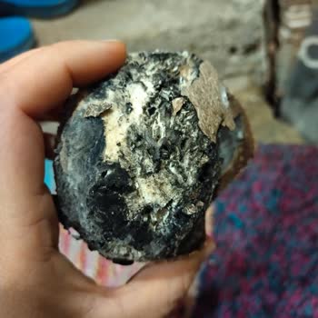 BİM Çürük Hindistan Cevizi