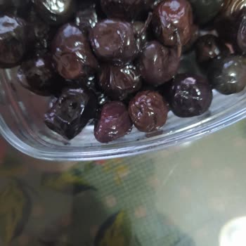 Deniz Ak Çiftliği Hayal Kırıklığı. Aynı İletişim Numarası Farklı Firma İsimleri.