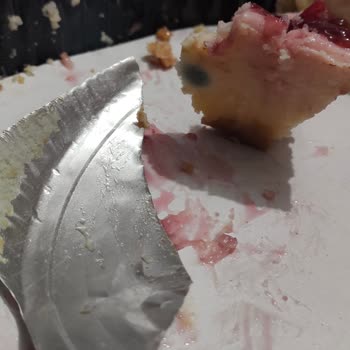 A101 Cheesecake Küflü Ve İçinden Metal Çıktı