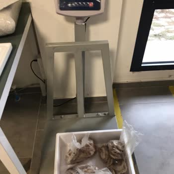 İzmir Kokoreç (Instagram: tarihi.izmir.kokoreci) Pişmanlık Yaşama