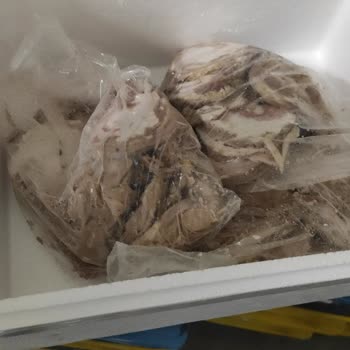 İzmir Kokoreç (Instagram: tarihi.izmir.kokoreci) Pişmanlık Yaşama